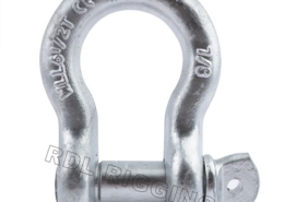 G209 US Type Screw Pin Anchor Shackle